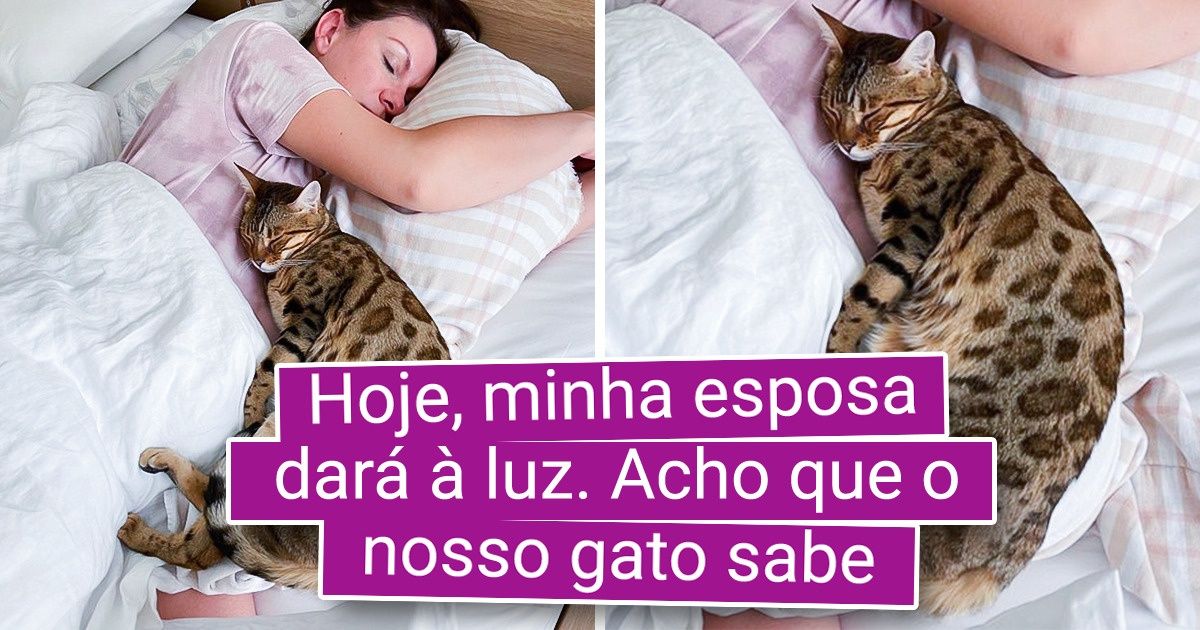 18 Fotos mostrando que os animais têm os corações mais verdadeiros