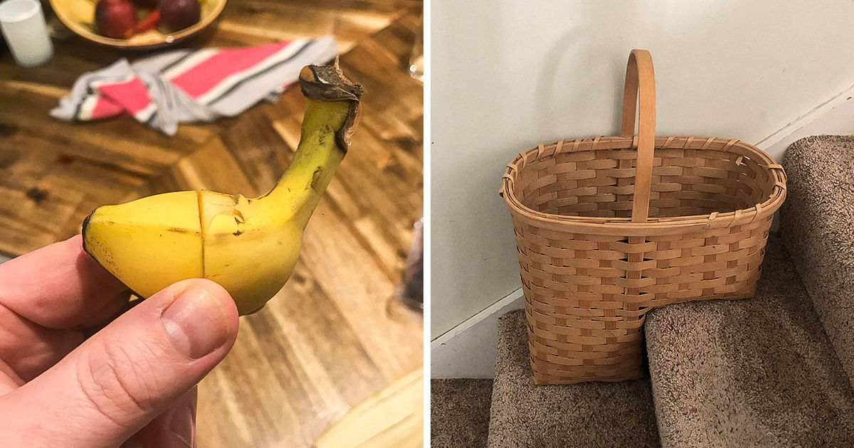 22 Objetos que coincidem com tanta precisão, a ponto de parecer criados especialmente um para o outro