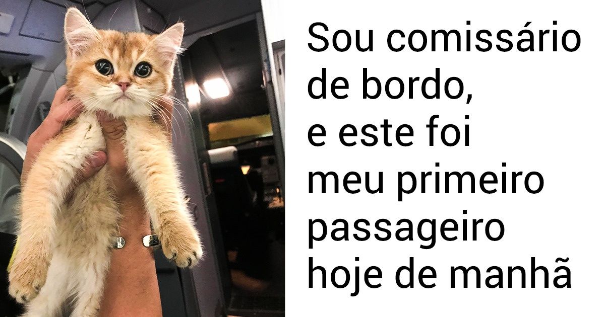 Usuários do Reddit mostram 16 casos de pets que deixaram o dia mais fofo