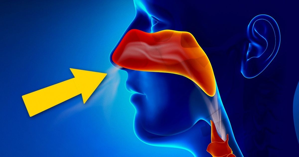 8 hábitos do corpo que não podemos ignorar