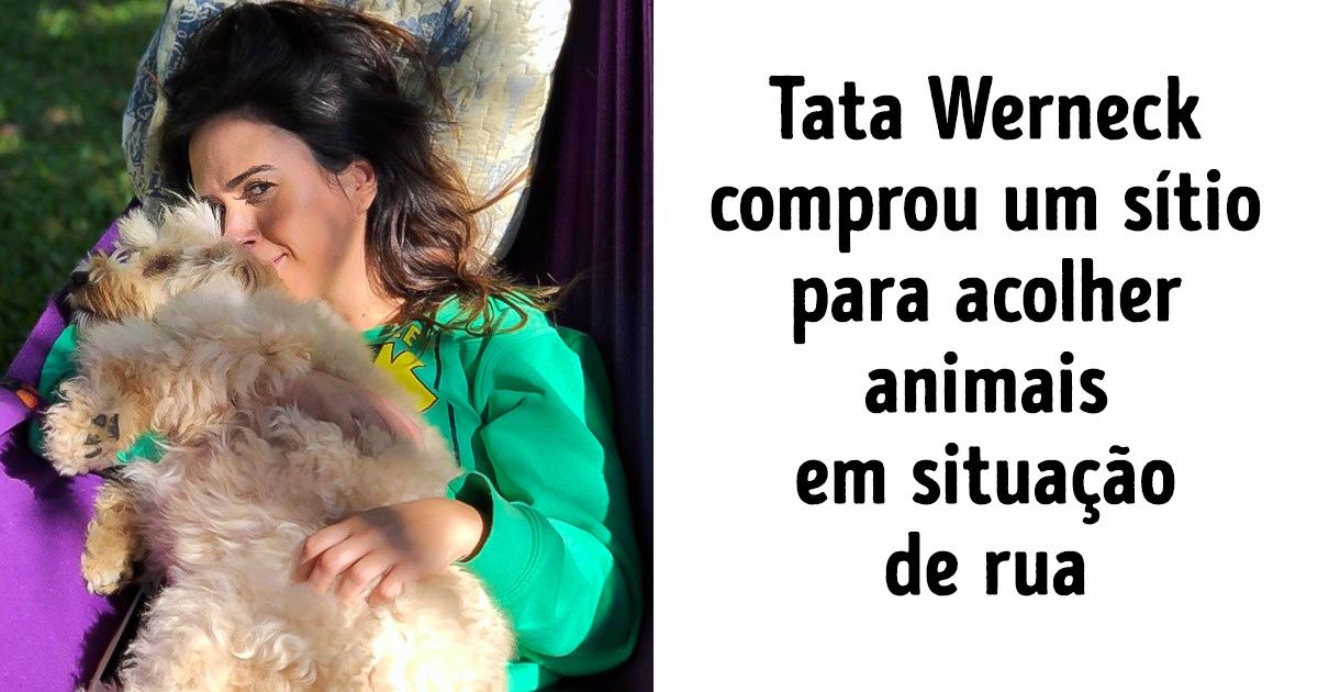 12 Celebridades engajadas que mostraram a importância de combater a violência animal (e inúmeros pets foram salvos graças às suas atitudes) 12 Celebridades engajadas que mostraram a importância de combater a violência animal (e inúmeros pets foram salvos graças às suas atitudes)