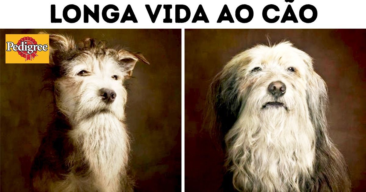 11 Anúncios cuja criatividade supera a de vários concorrentes