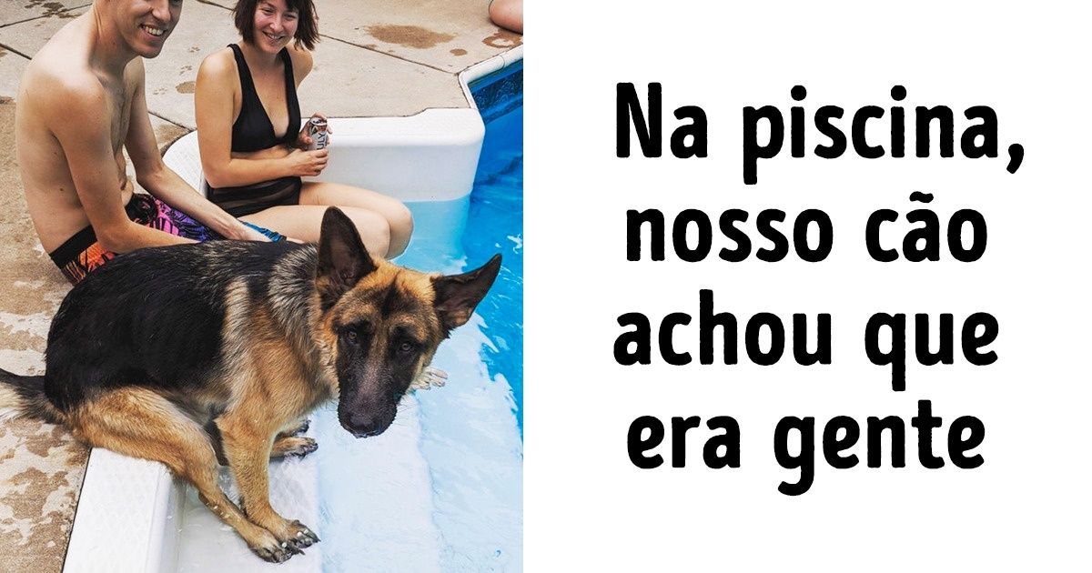 20 Evidências de que a cada dia os animais de estimação ficam mais parecidos com os seus donos