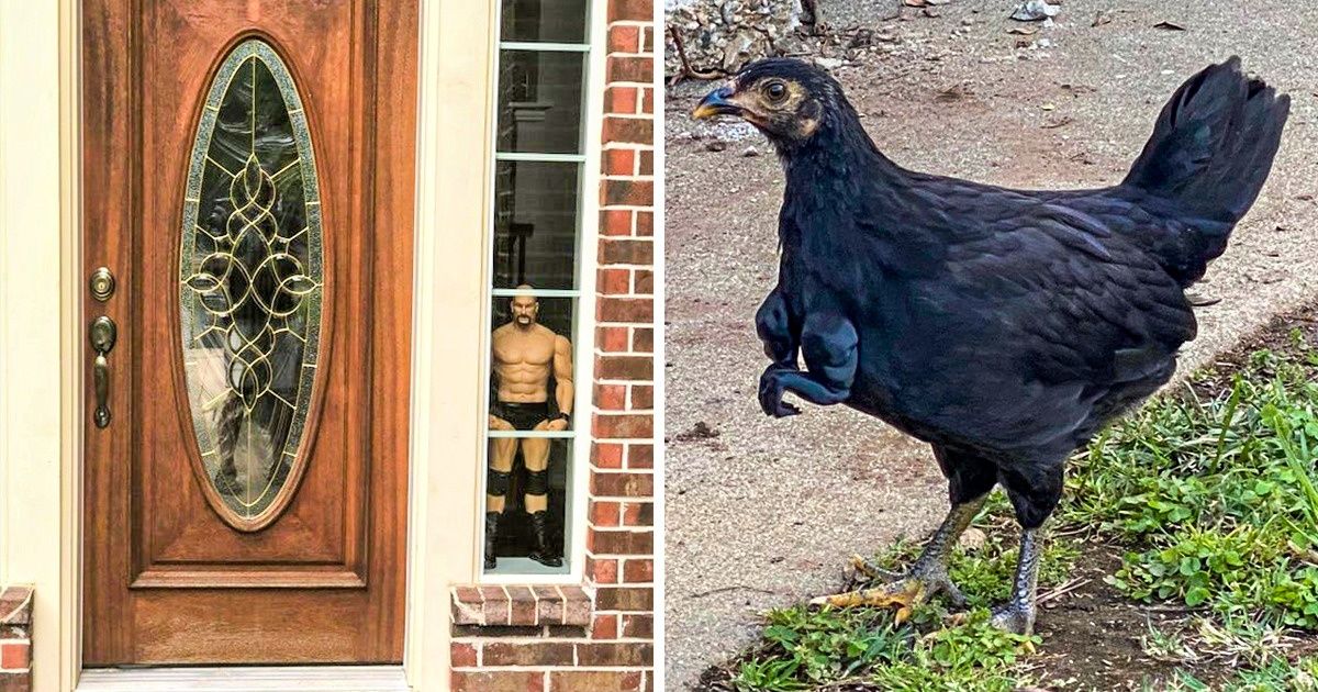 17 Pessoas que poderiam ganhar um prêmio de criatividade e senso de humor