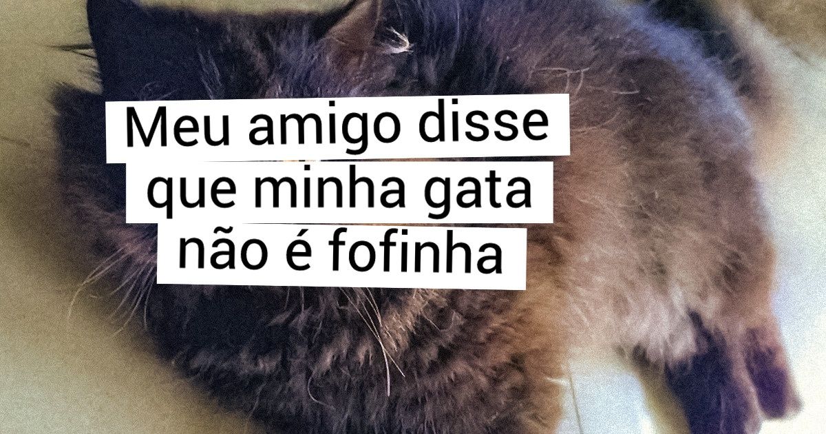 17 Histórias em fotos de donos de pets cujo amor por seus bichinhos é mais forte do que a paixão de Romeu e Julieta 17 Histórias em fotos de donos de pets cujo amor por seus bichinhos é mais forte do que a paixão de Romeu e Julieta