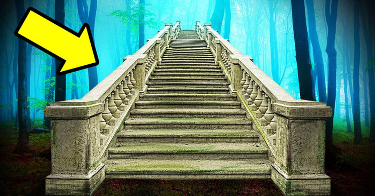 Por que escadas abandonadas continuam aparecendo aleatoriamente em florestas Por que escadas abandonadas continuam aparecendo aleatoriamente em florestas
