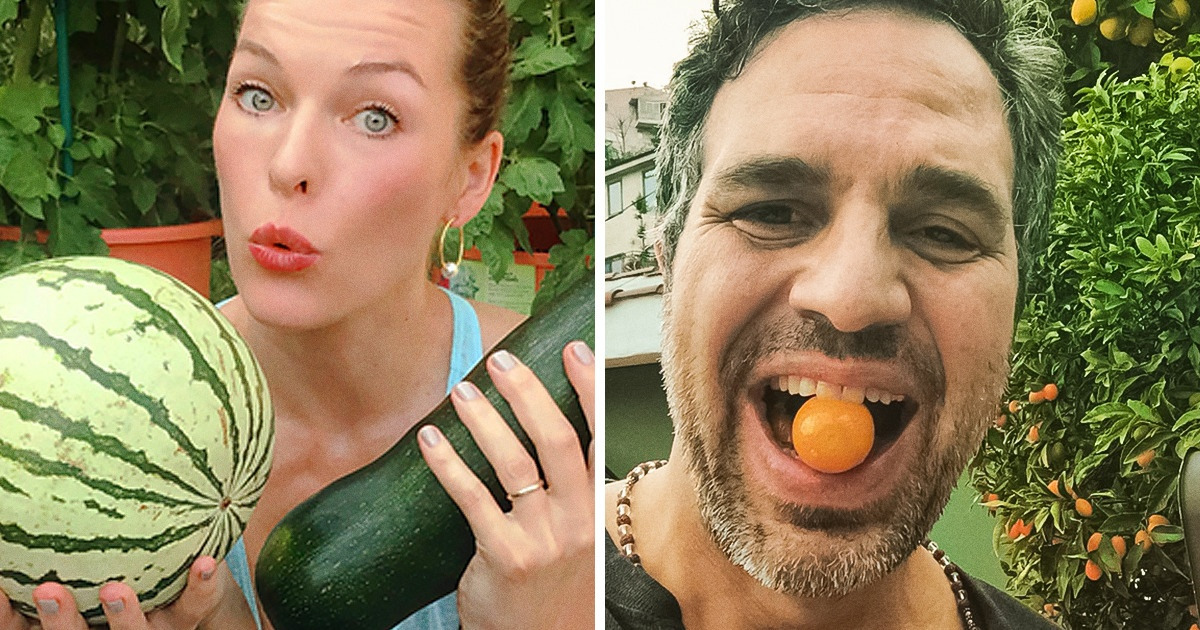 15 Famosos que começaram a cultivar suas frutas e seus legumes em casa 15 Famosos que começaram a cultivar suas frutas e seus legumes em casa