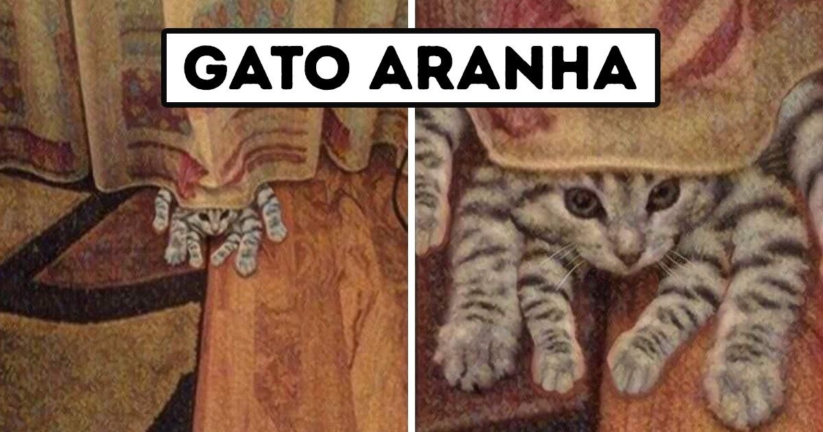 18 Fotos que provam que os gatos nunca se cansam de trollar os seres humanos