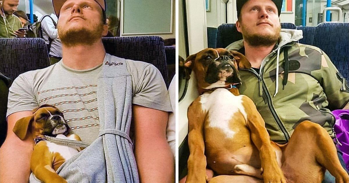 15 Fotos que mostram a vida super interessante dos animais 15 Fotos que mostram a vida super interessante dos animais