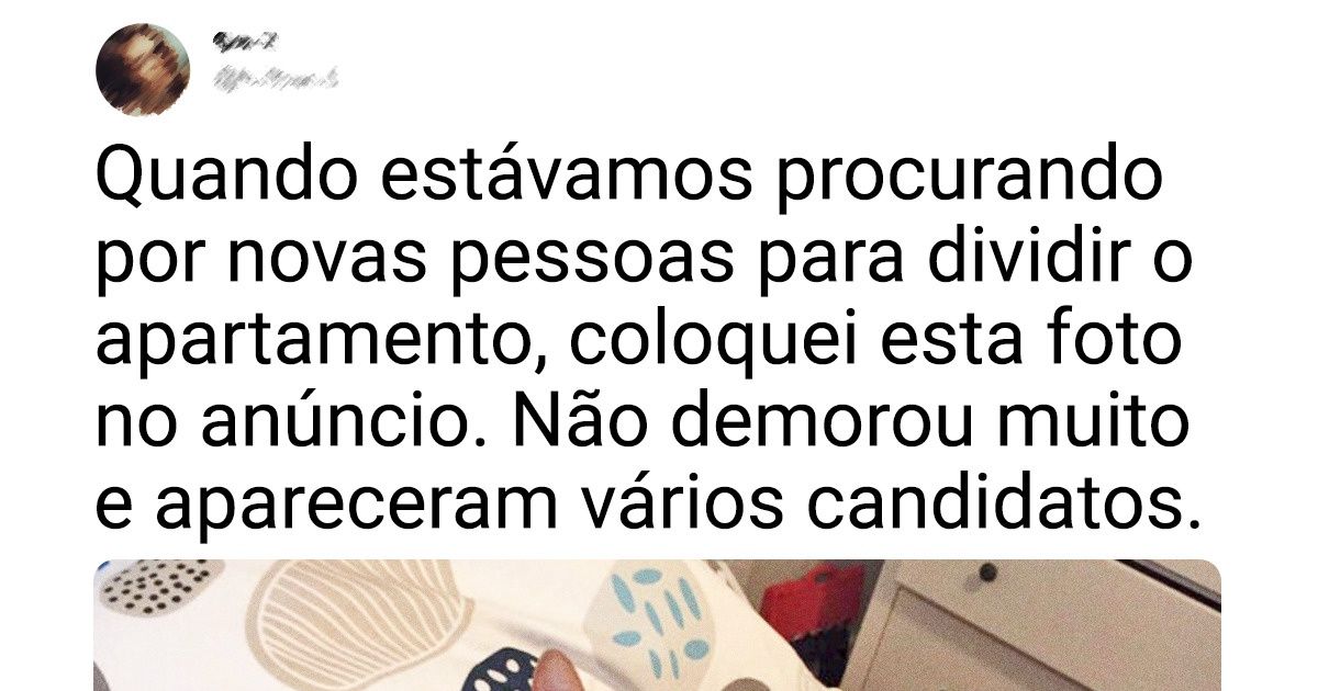 20+ Gatinhos que ajudam seus donos da melhor maneira possível