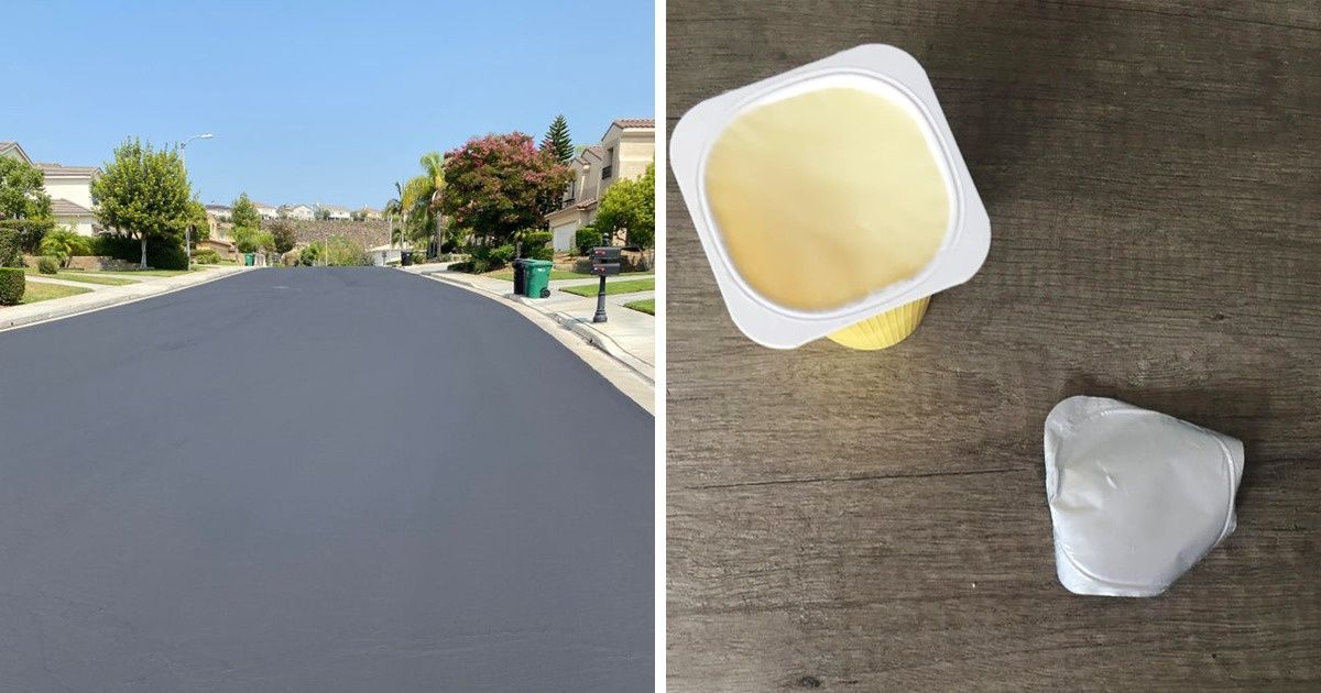 15 Fotos para provar que a perfeição realmente existe