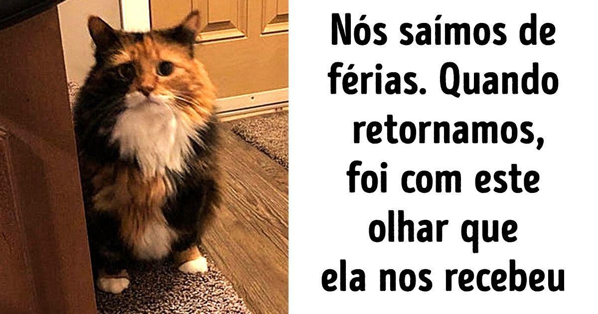 20+ Fotos de animais de estimação capazes de atualizar qualquer definição de fofura 20+ Fotos de animais de estimação capazes de atualizar qualquer definição de fofura