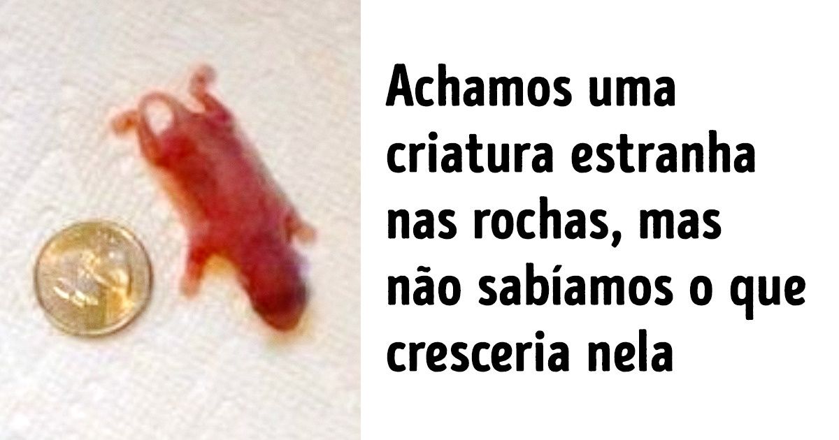 20 Achados incríveis que foram uma verdadeira surpresa para seus donos