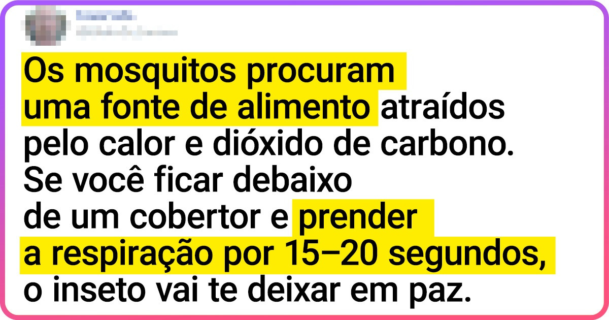 15 Fatos do nosso dia a dia que você provavelmente gostaria de ter descoberto antes