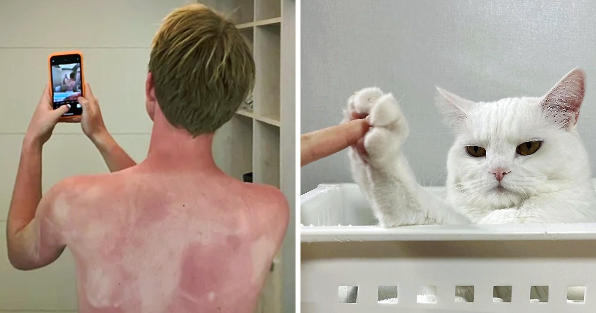 18 Dramas capturados em foto que nos fazem pensar “hoje não é meu dia” 18 Dramas capturados em foto que nos fazem pensar “hoje não é meu dia”