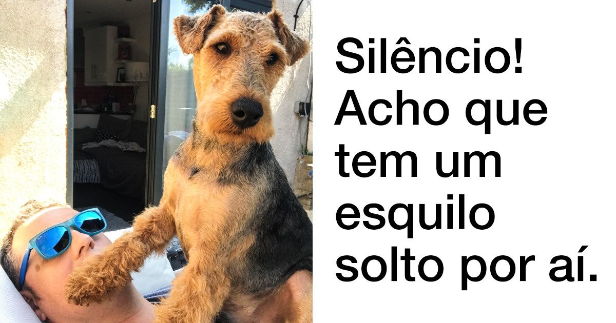 Provas de que cachorros são a melhor maneira de acabar com a tristeza