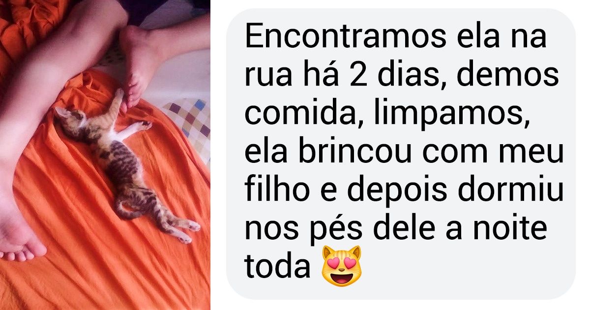 20 Leitores que compartilharam fotos de seus pets em sono profundo 20 Leitores que compartilharam fotos de seus pets em sono profundo
