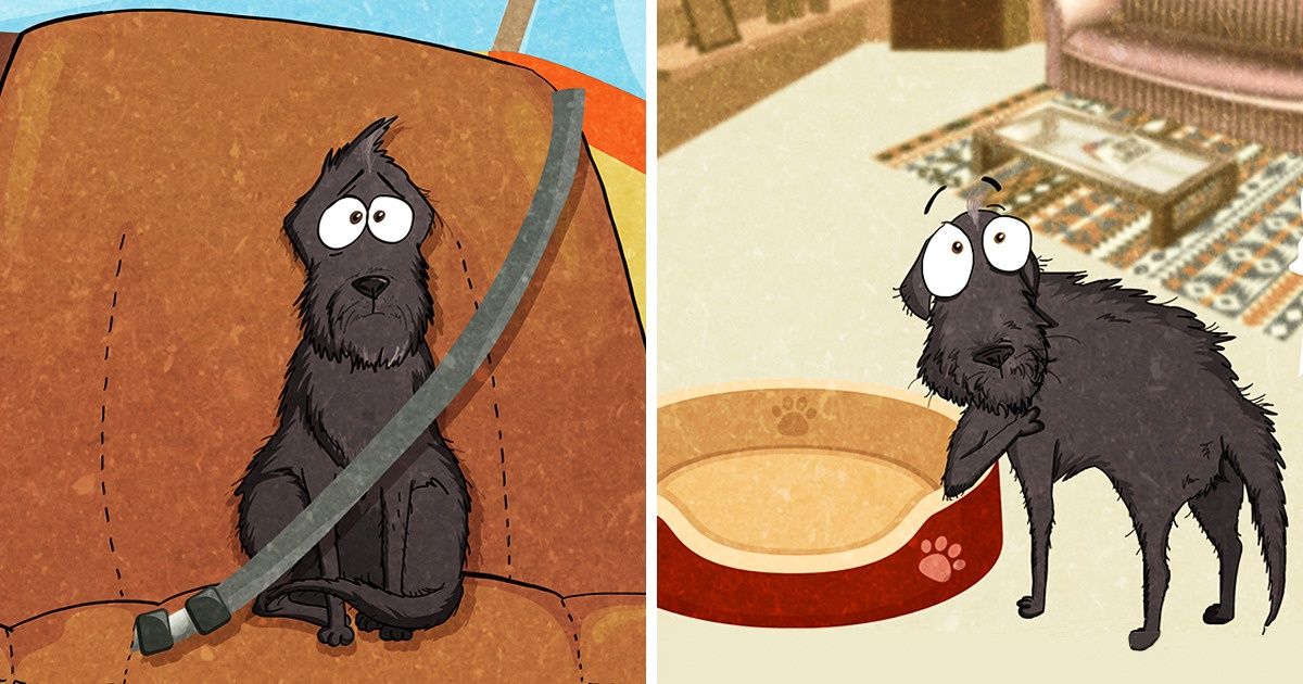 10+ Coisas que percebemos quando adotamos um cão de abrigo