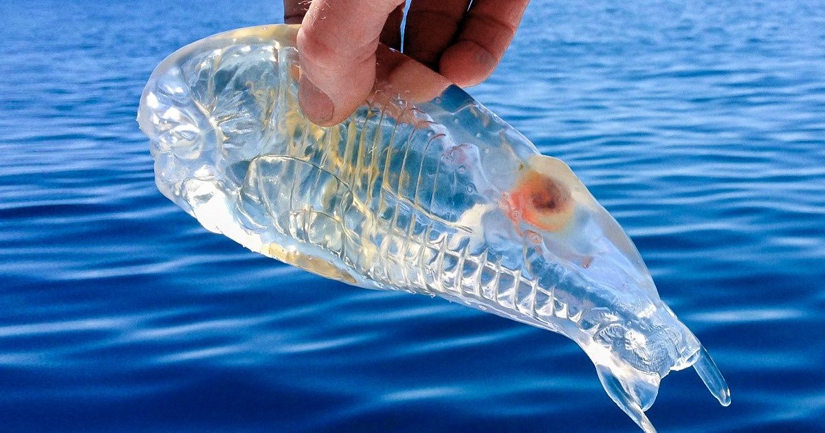 16 Fotos de um lado desconhecido do mundo