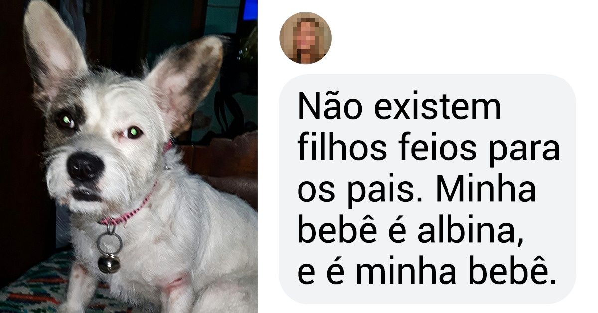20+ Leitores do Incrível compartilham fotos de seus bichinhos e demonstram que todos são especiais 20+ Leitores do Incrível compartilham fotos de seus bichinhos e demonstram que todos são especiais