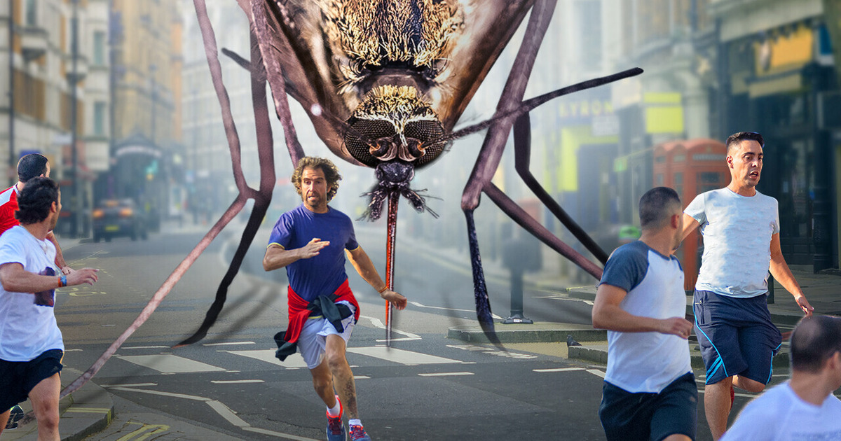 E se os mosquitos ficassem gigantes?