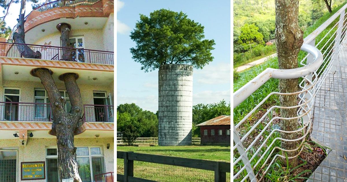 25 Fotos incríveis que mostram o respeito à natureza e nos fazem ter orgulho da humanidade