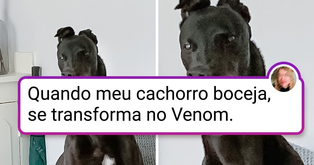 17+ Pets que parecem ter saído de um filme de terror 17+ Pets que parecem ter saído de um filme de terror