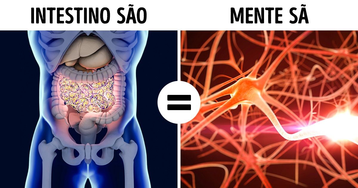Segundo estudos, seu estado de humor pode estar vinculado à sua saúde intestinal Segundo estudos, seu estado de humor pode estar vinculado à sua saúde intestinal