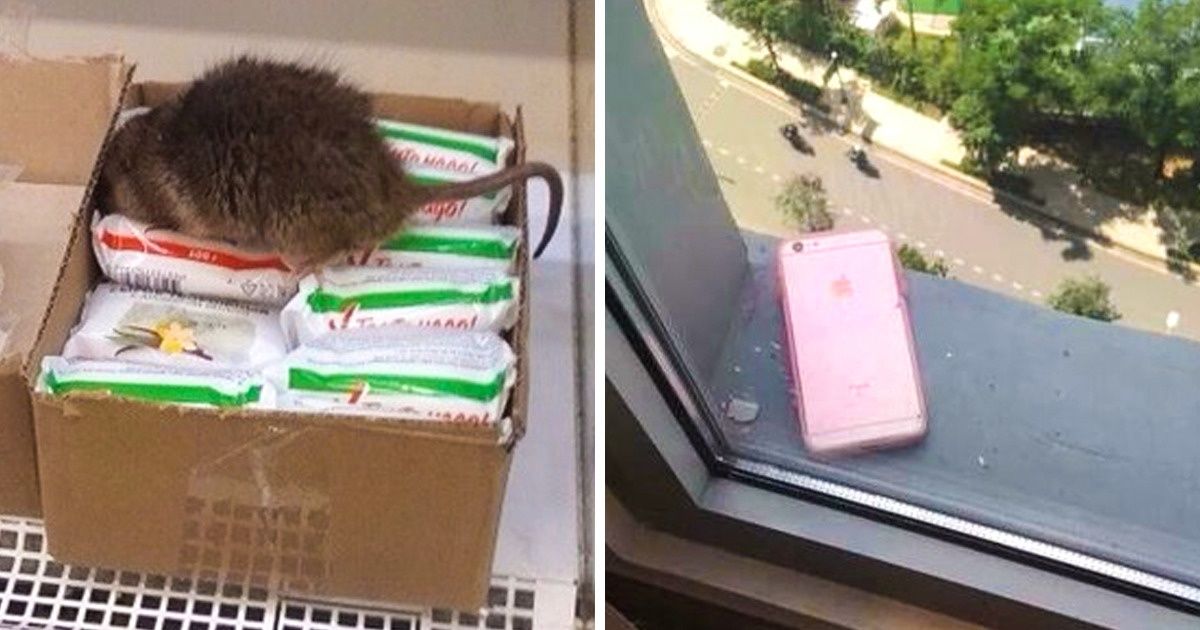 27 Fotos que mostram que a realidade é mais inesperada que a ficção