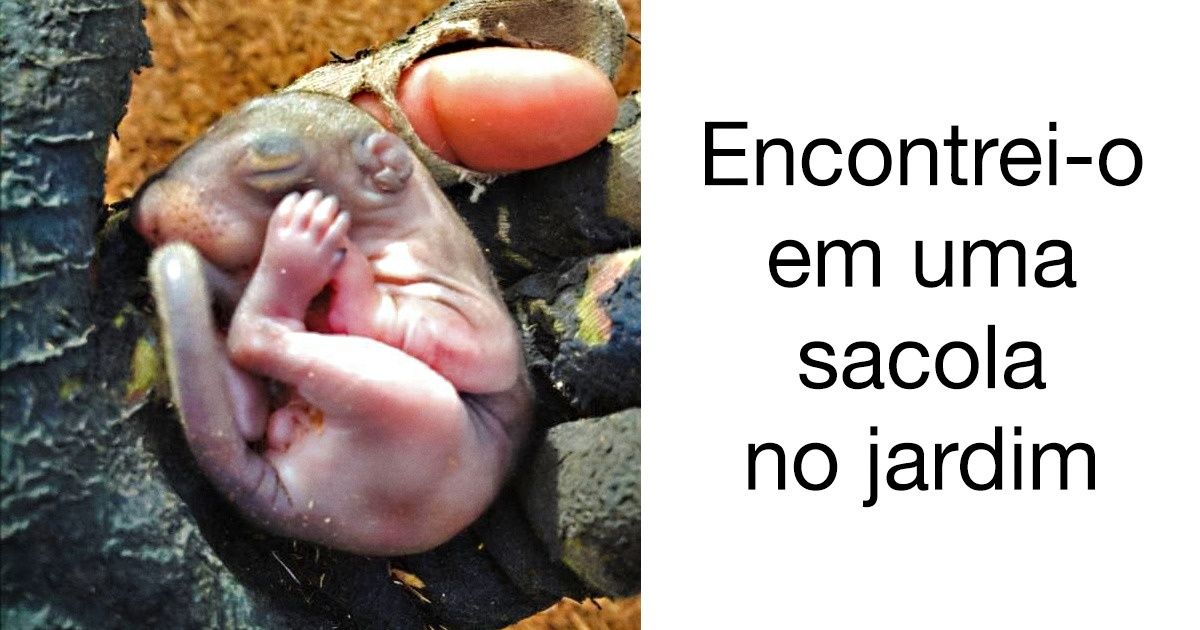 Descobertas inesperadas que ocorrem uma vez na vida