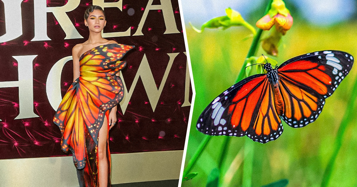 15 Famosas que incluíram animais em suas roupas, mostrando que eles são uma poderosa fonte de inspiração