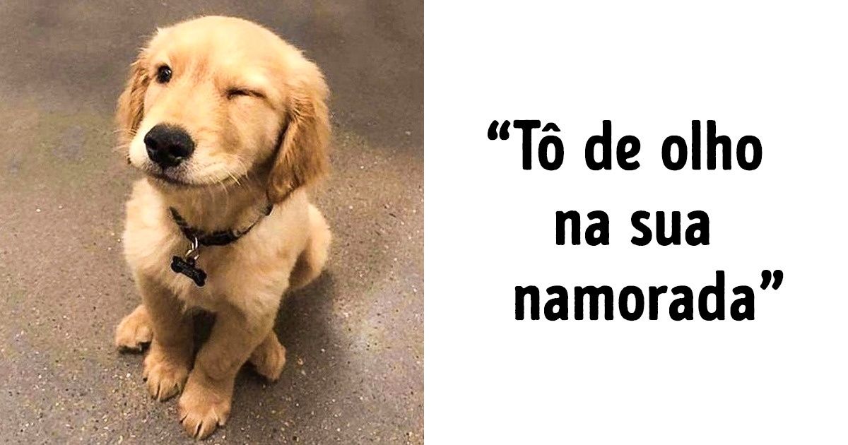 20 Fotos super fofas melhores que chocolate para curar a tristeza 20 Fotos super fofas melhores que chocolate para curar a tristeza