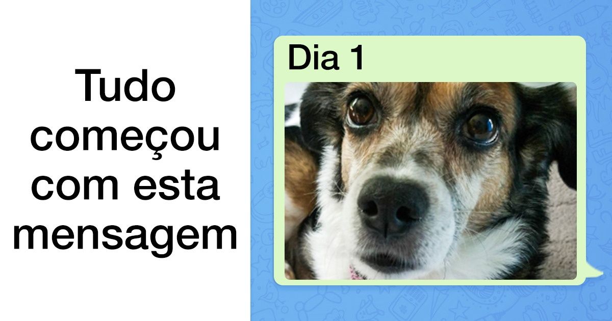 Este rapaz estudou fora de seu país e sua mãe mandou fotos do melhor amigo diariamente