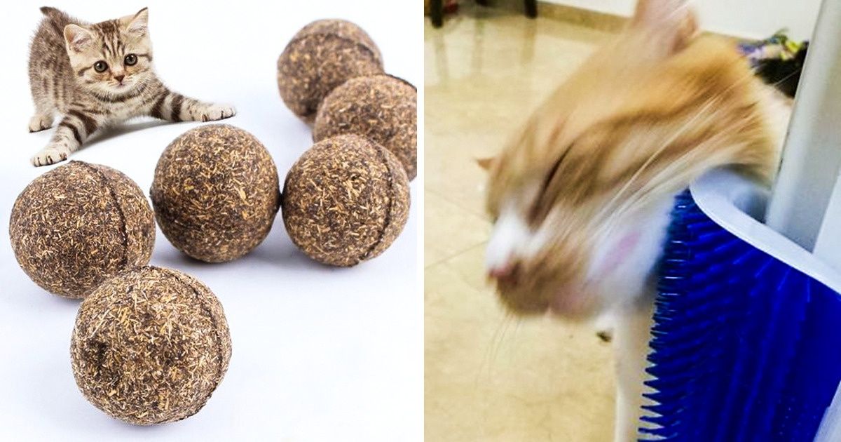 17 Produtos econômicos, mas muito úteis, do AliExpress que agradarão seu animal de estimação 17 Produtos econômicos, mas muito úteis, do AliExpress que agradarão seu animal de estimação