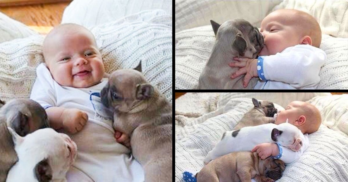 20 Provas de que todo bebê precisa de um bicho de estimação