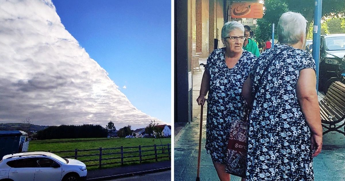 23 Momentos bizarros em que não acreditaríamos se não tivessem sido fotografados