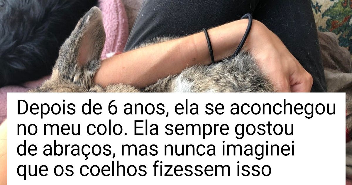 19 Coelhinhos que provaram ser pets para lá de fofos e carinhosos