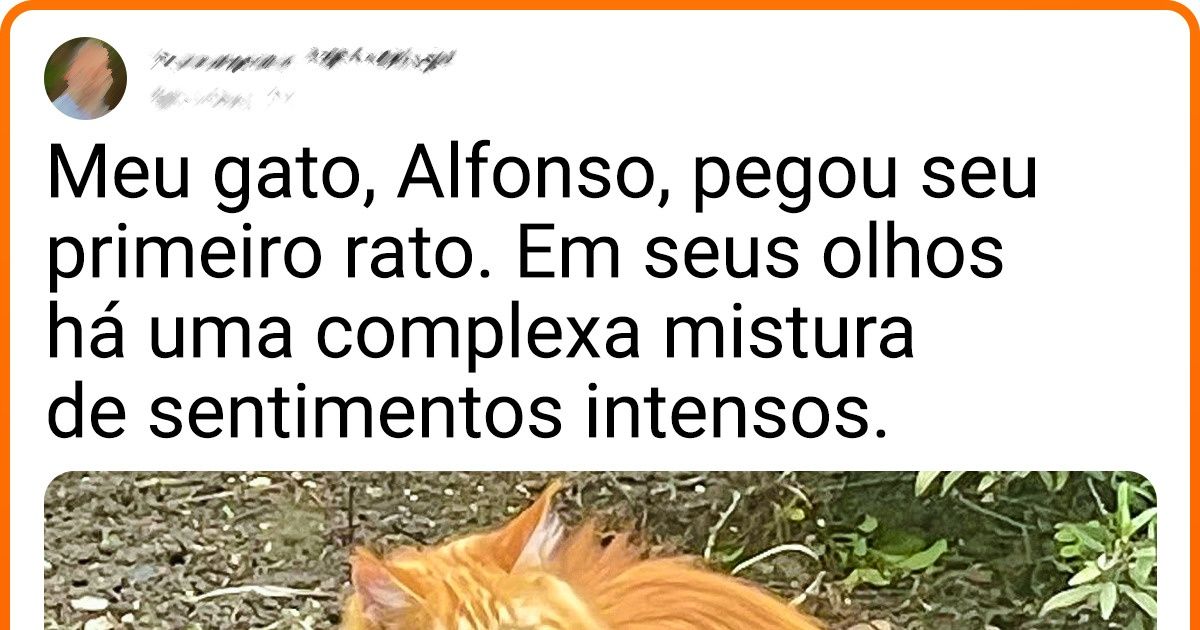 20 Provas de que um animal de estimação em casa é garantia de diversão eterna e gratuita 20 Provas de que um animal de estimação em casa é garantia de diversão eterna e gratuita