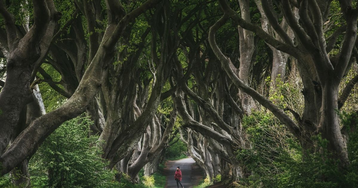 Um fotógrafo de viagem captura a beleza da natureza durante suas expedições