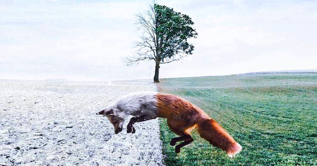 20 Imagens que parecem sonhos