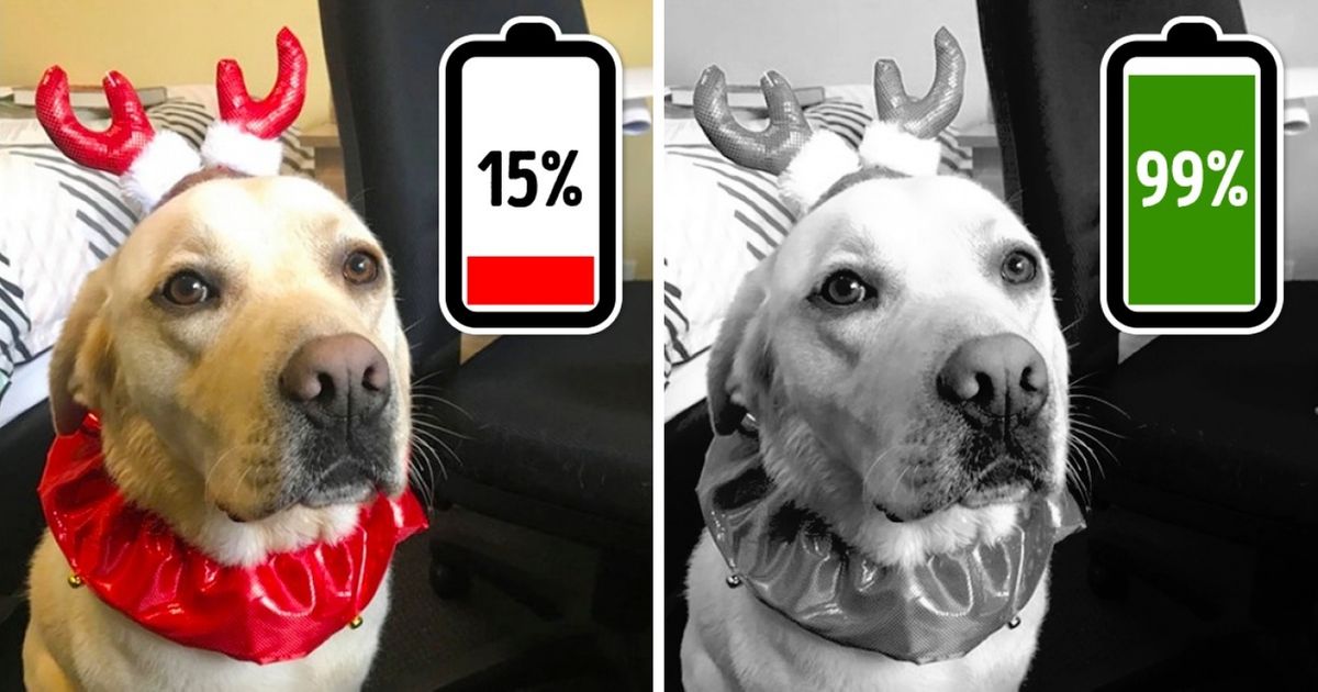 12 Funções dos smartphones que pouca gente conhece