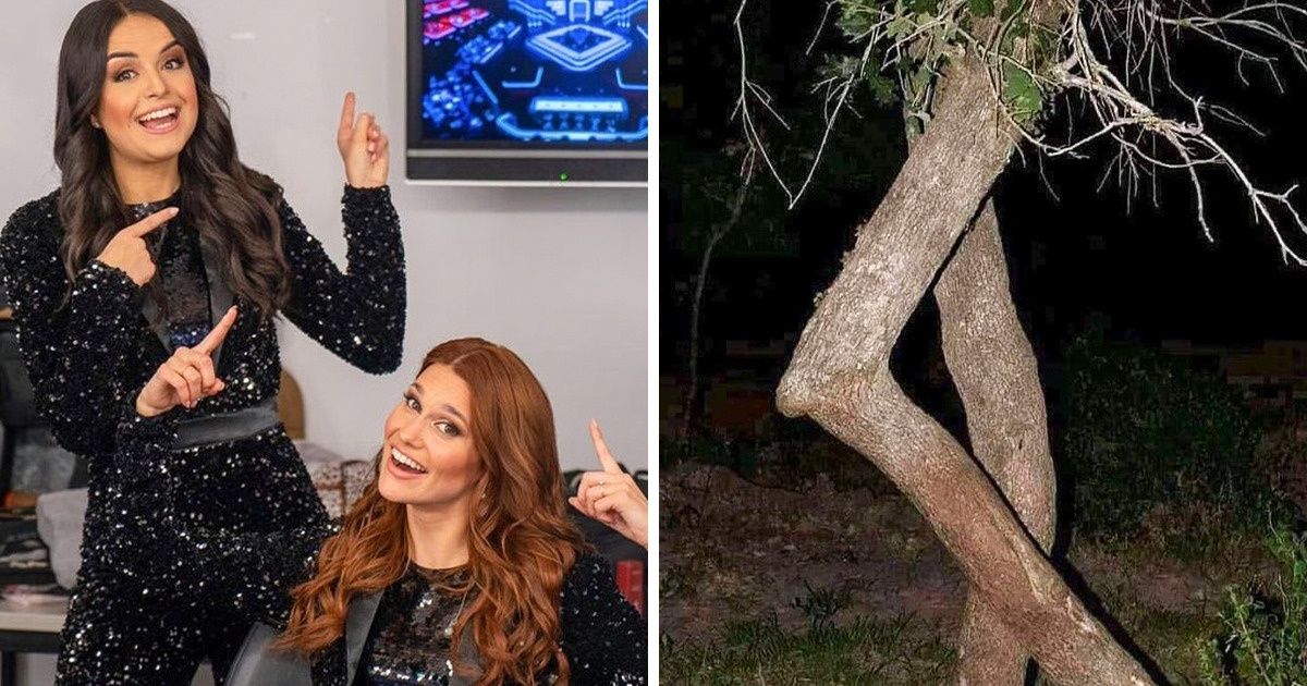 17 Vezes em que as pessoas viram algo que as deixou perplexas 17 Vezes em que as pessoas viram algo que as deixou perplexas