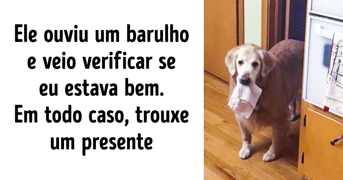 Seleção de fotos mostra o significado de cuidado e carinho