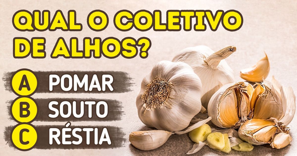 Tente responder quais são os coletivos destas 18 palavras e veja o quanto sabe sobre a nossa língua Tente responder quais são os coletivos destas 18 palavras e veja o quanto sabe sobre a nossa língua