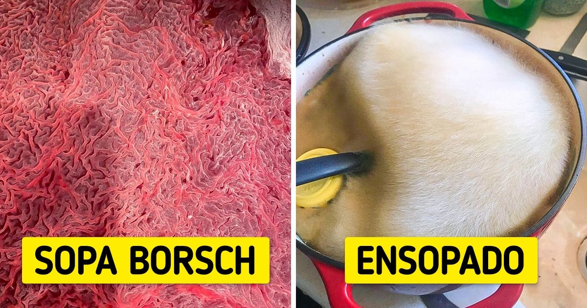 20+ Fotos que responderão à pergunta “o que aconteceria se...?”