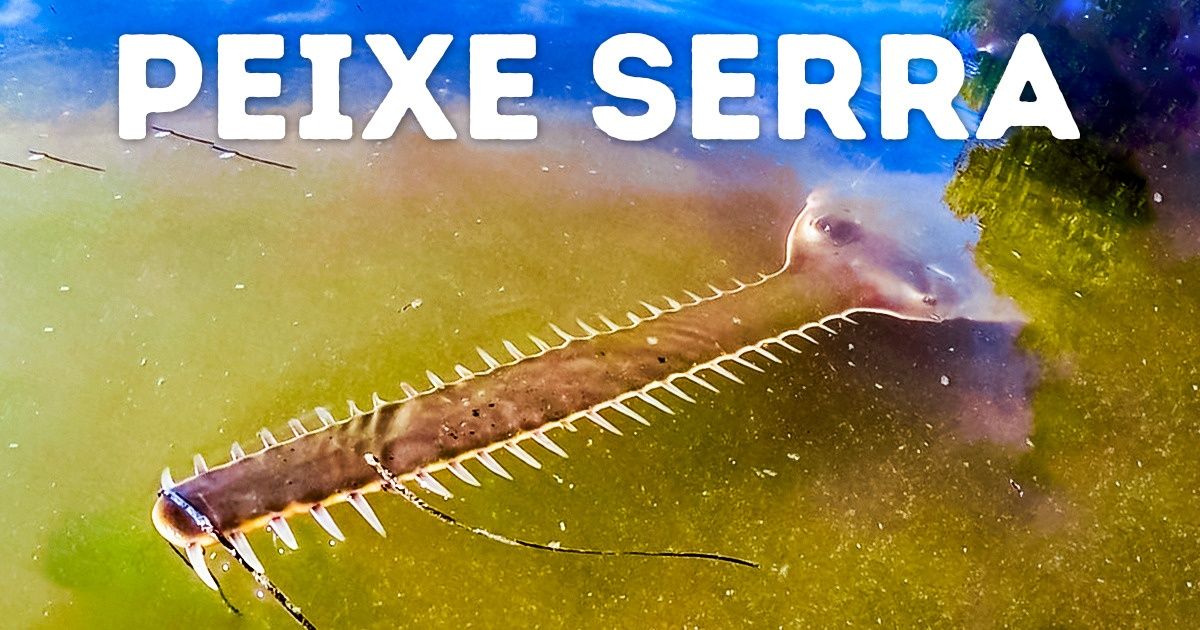 20 Fotos da natureza que assustam e impressionam ao mesmo tempo