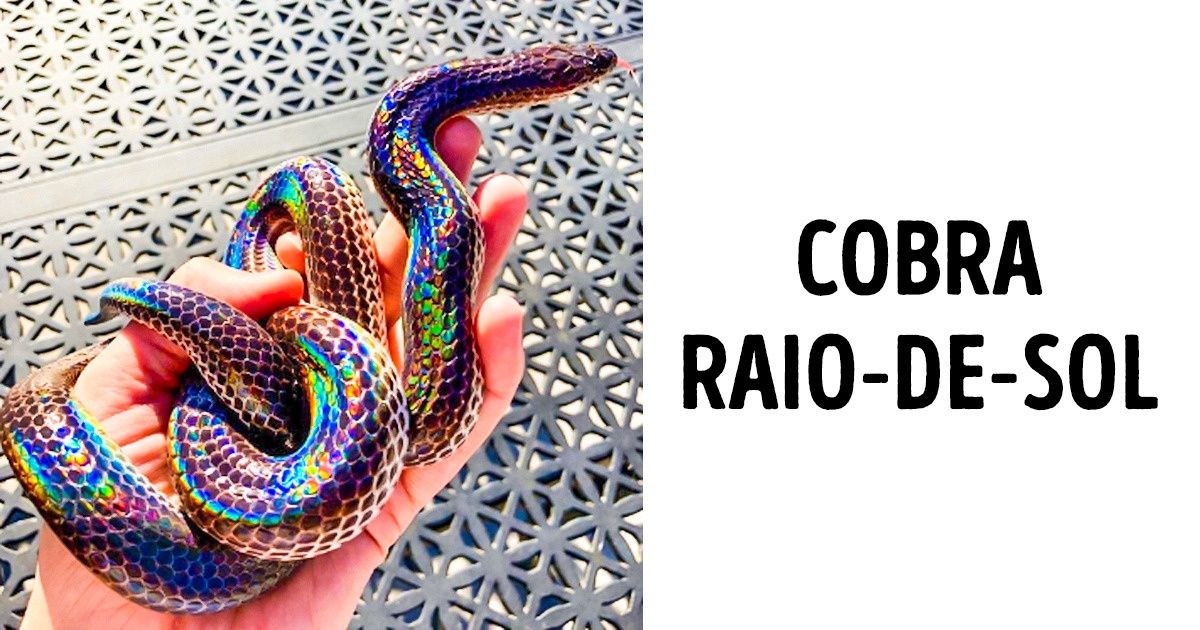 Coisas que vão assombrar até mesmo quem diz já ter visto de tudo