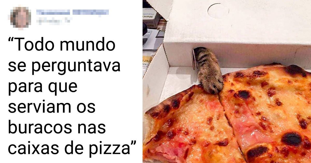 15 Animais que são verdadeiros mestres na arte do esconde-esconde