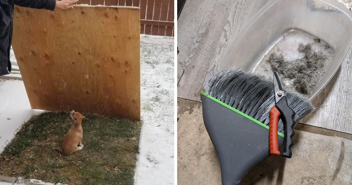 15 Usuários encontraram soluções engenhosas para problemas domésticos