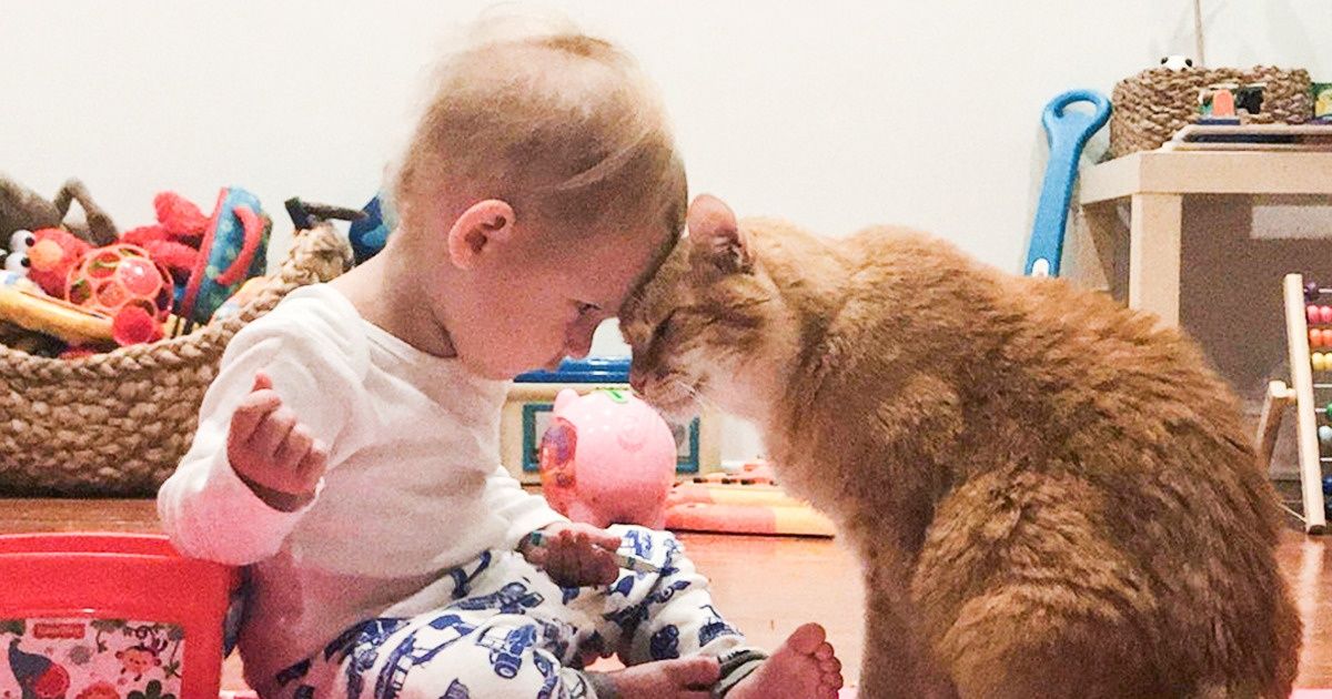 17 Fotos que superam qualquer melodrama moderno